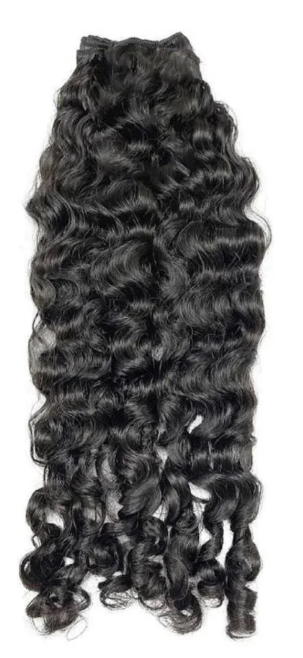 Burmese Curly