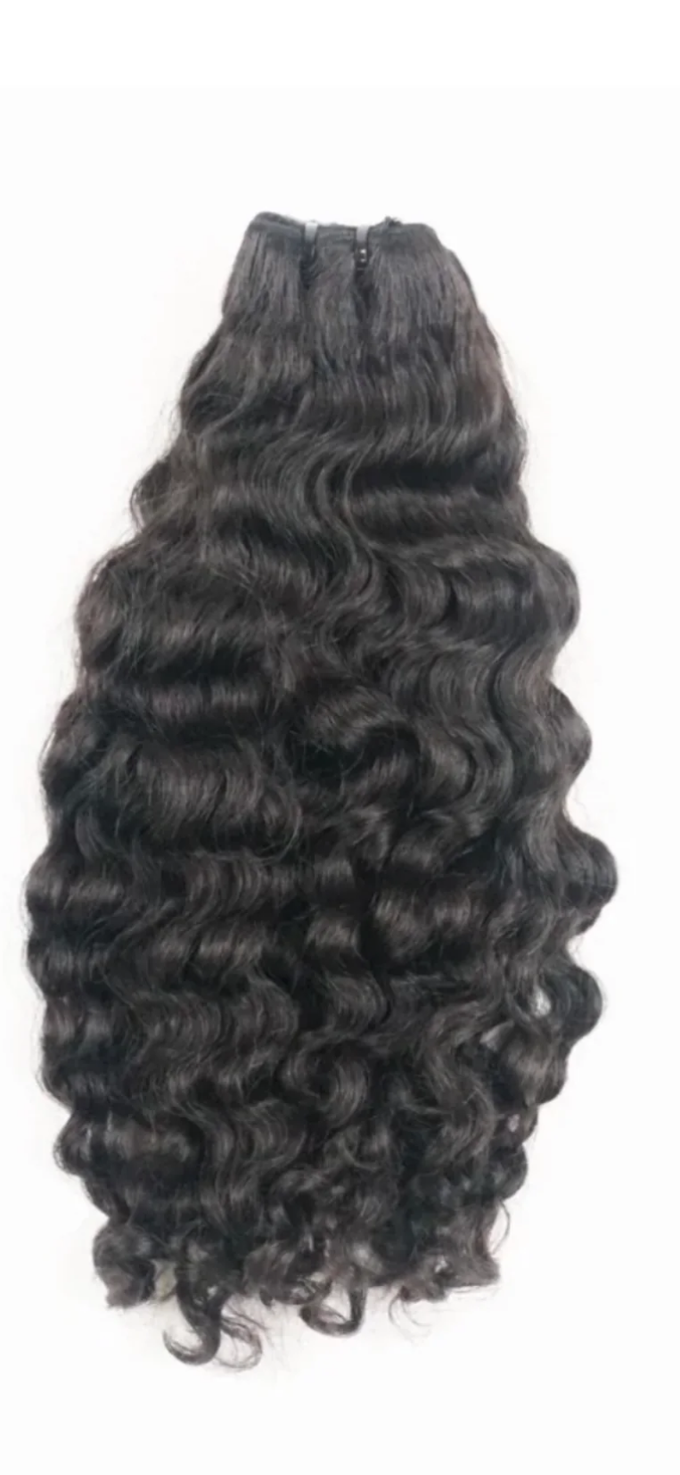 Laos Curly